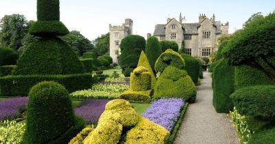 ‘World’s oldest’ topiary garden 90 minutes from Manchester slashes entry fee this weekend