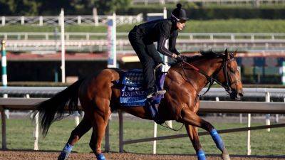 Bob Baffert - Patrick Smith - Preakness Stakes favorite and Bob Baffert-trained horse ruled out after spiking a fever - foxnews.com - state California - county Park - city Santa